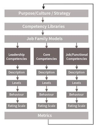 Competency_Structure.jpg