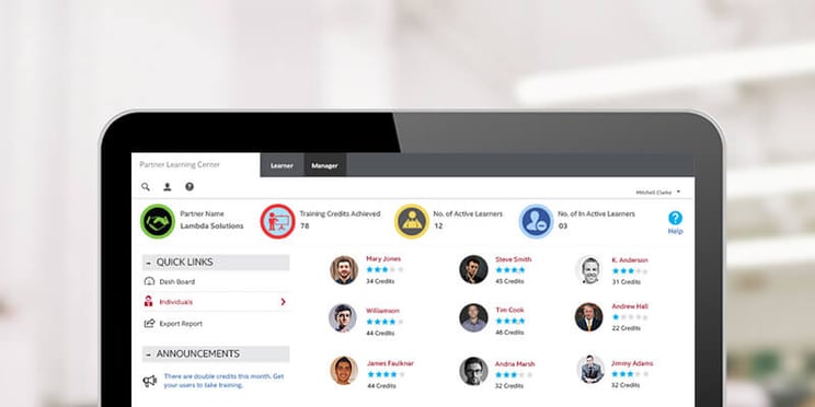 SumTotal User Interface customization