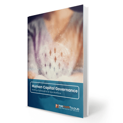 eBook02_Aframe Work for HCM Governance